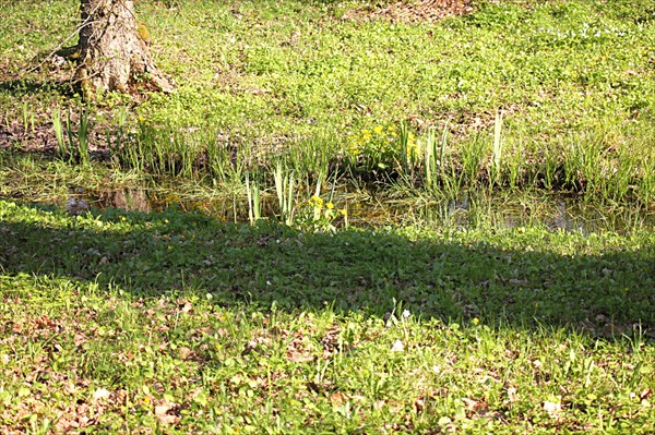 241-Пещера Гутманя